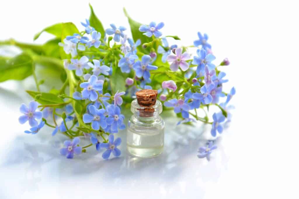 violet essential oil benefits