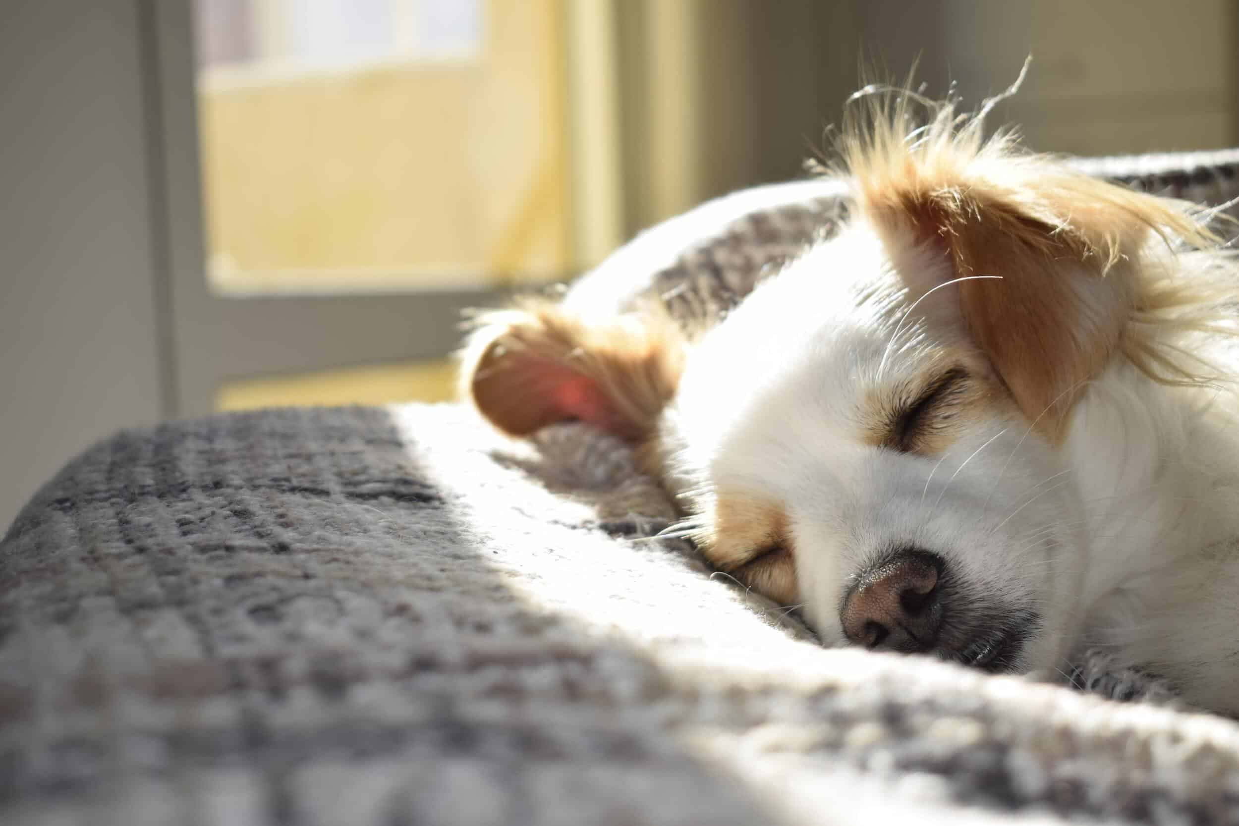 Is 6 Hours of Sleep Enough? Getting Your Best Night's Rest