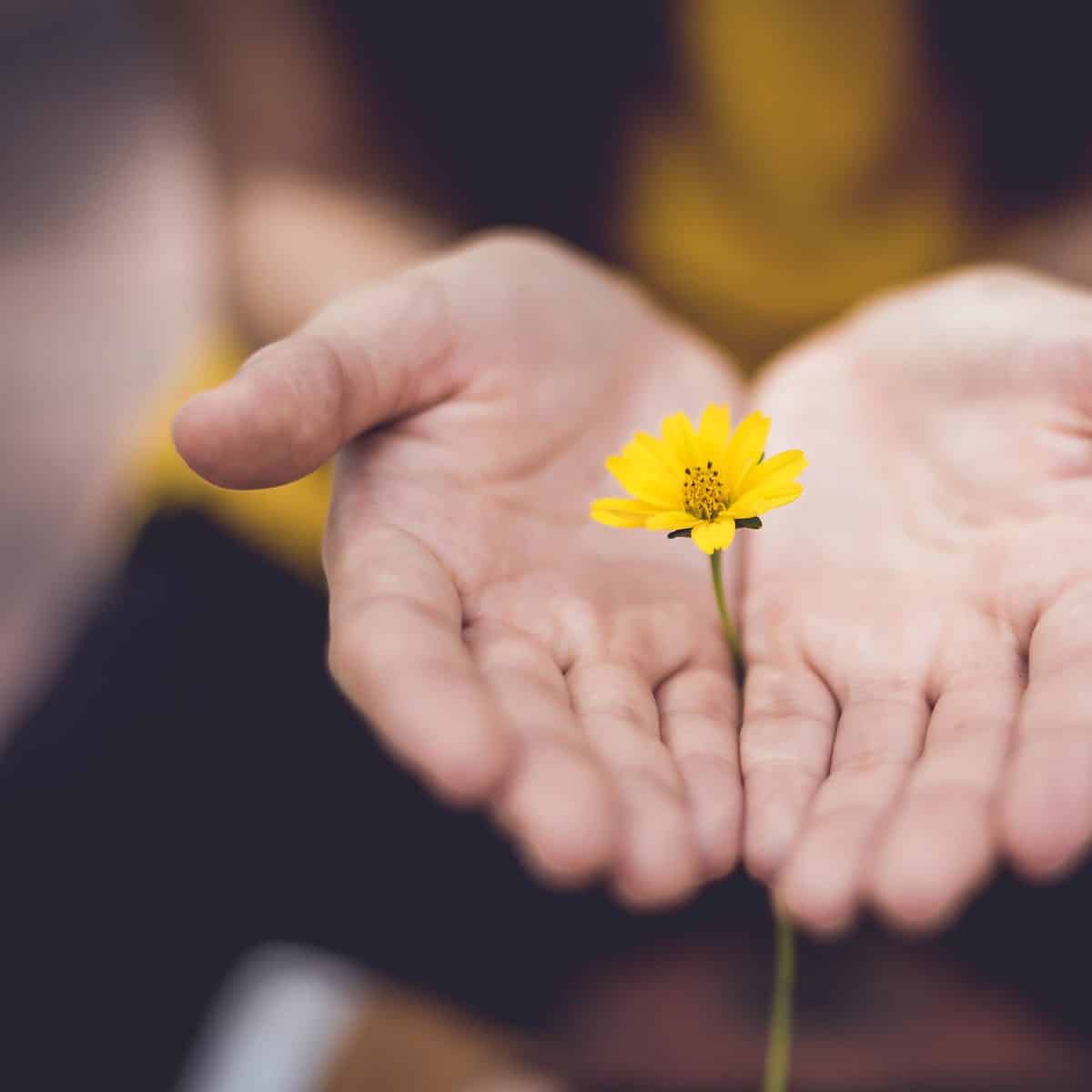 The Best Wellness Gift Ideas for Everyone on Your List