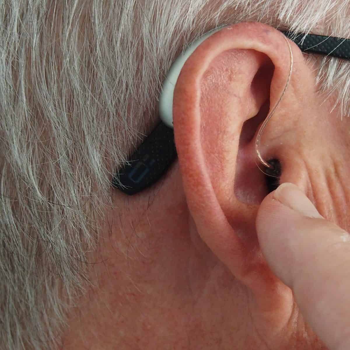 hearing aid