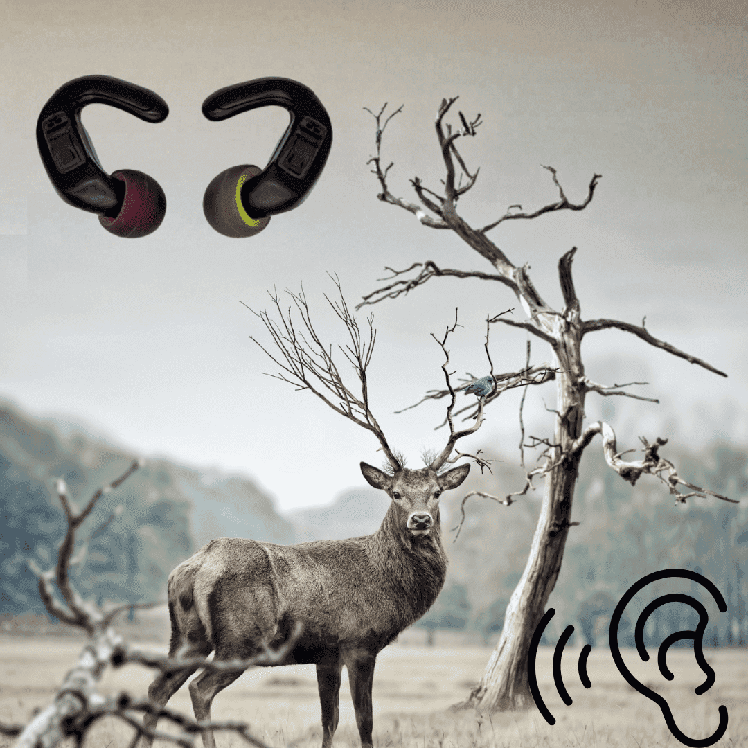 Tetra hearing